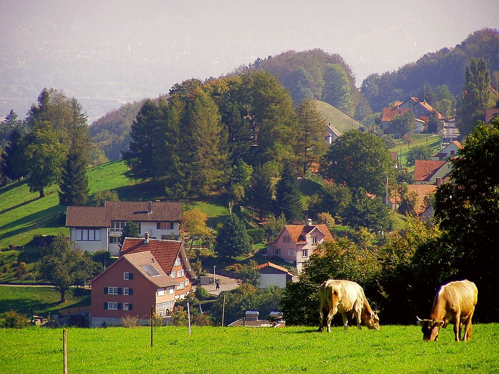 Die letzten Weidetage