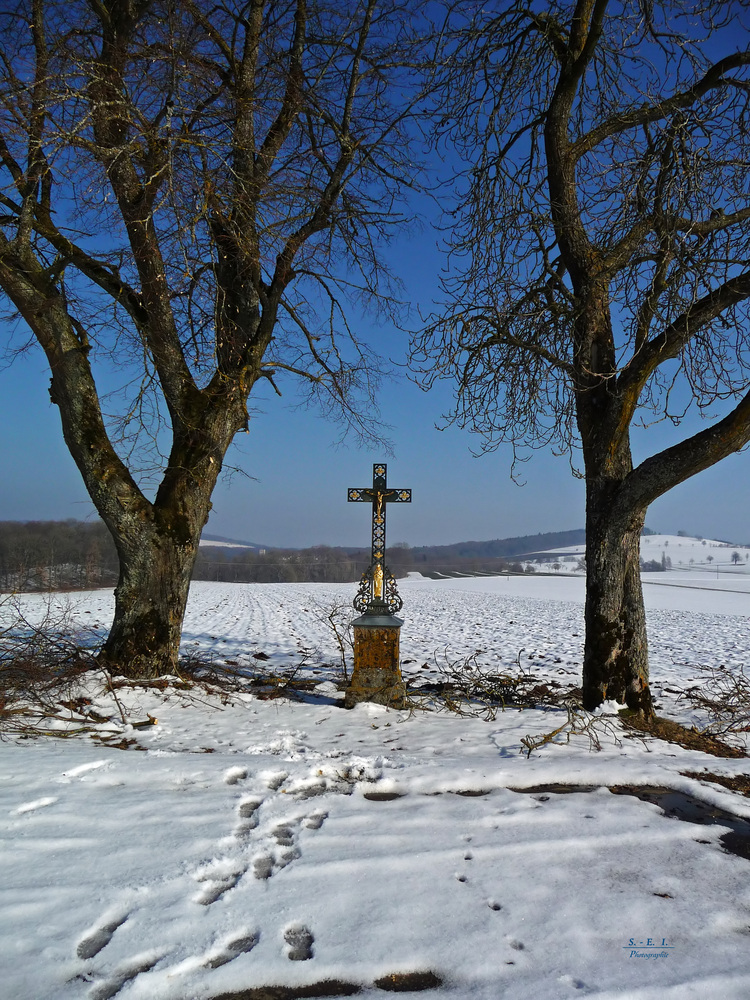 "die letzten Winter-Fotos so Gott will"