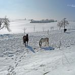 "die letzten Winter-Fotos so Gott will"