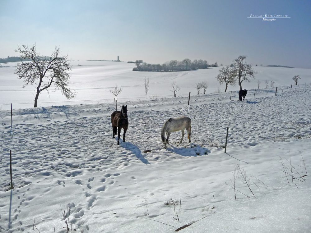 "die letzten Winter-Fotos so Gott will"