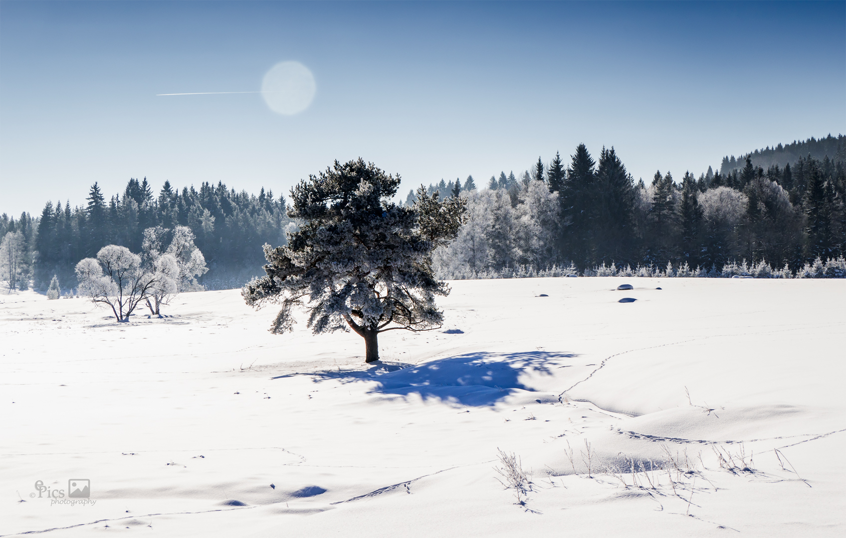 Die letzten Winterbilder? - CZ039