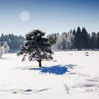 Die letzten Winterbilder? - CZ039