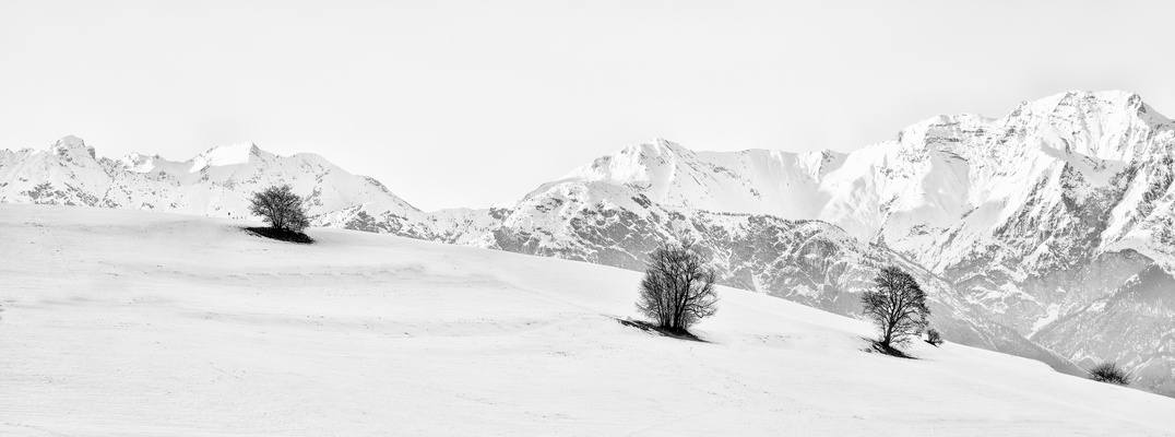 Die letzten Wintertage