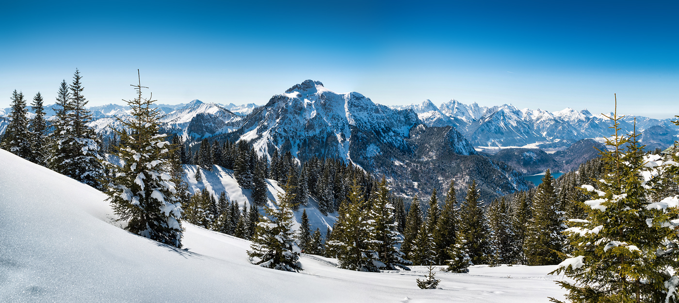 [ die letzten Wintertage ]