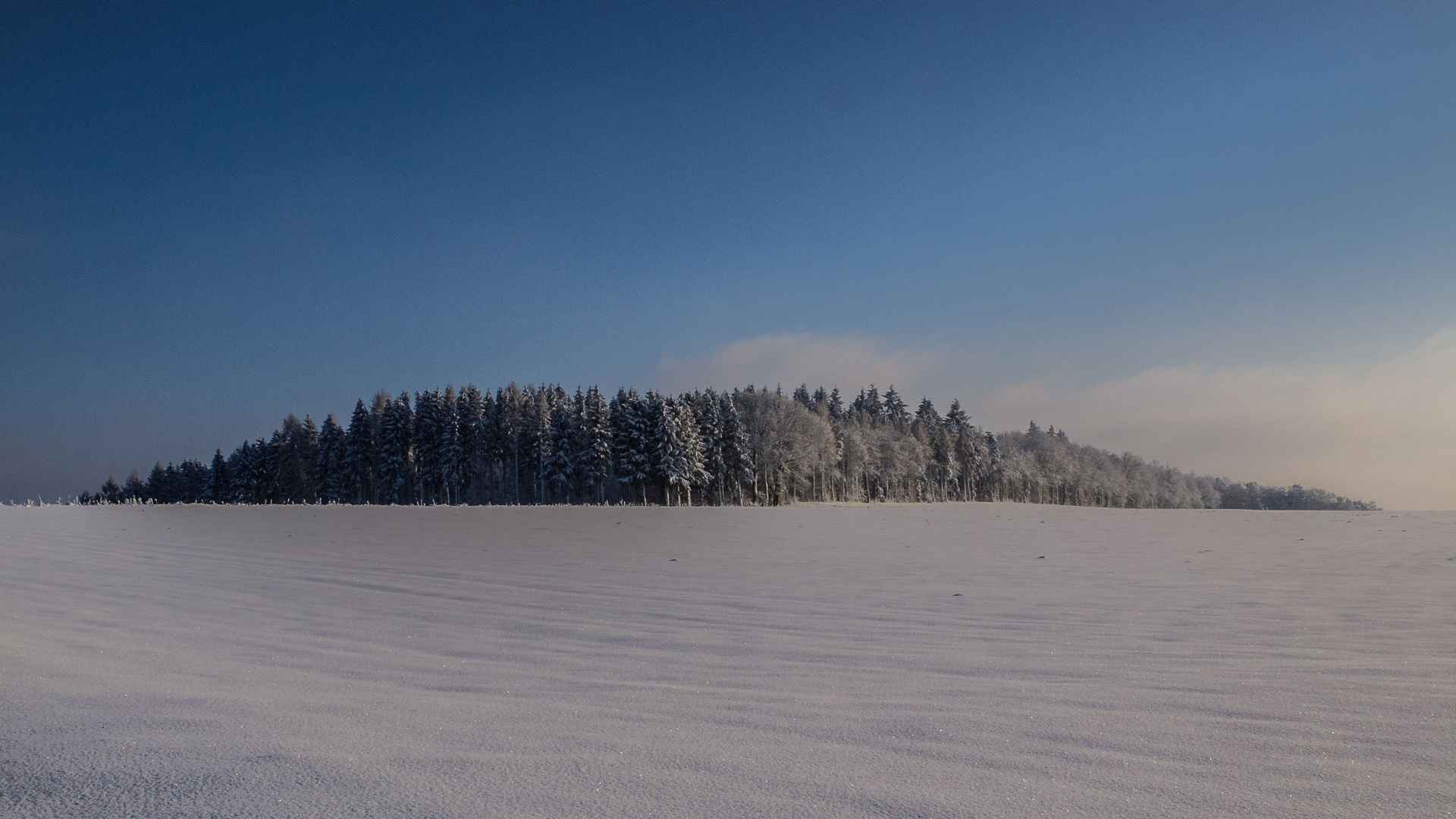 Die letzten Winterzuckungen 1