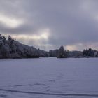 Die letzten Winterzuckungen 2