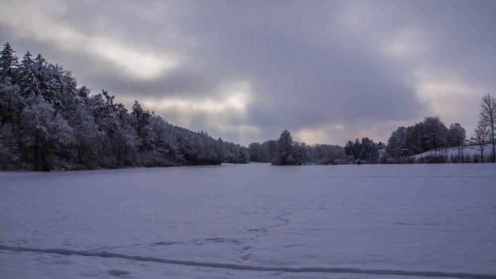 Die letzten Winterzuckungen 2