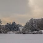 Die letzten Winterzuckungen 3