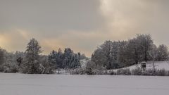 Die letzten Winterzuckungen 3