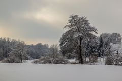 Die letzten Winterzuckungen 4