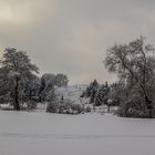 Die letzten Winterzuckungen 5