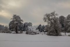 Die letzten Winterzuckungen 5