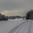 Die letzten Winterzuckungen 6