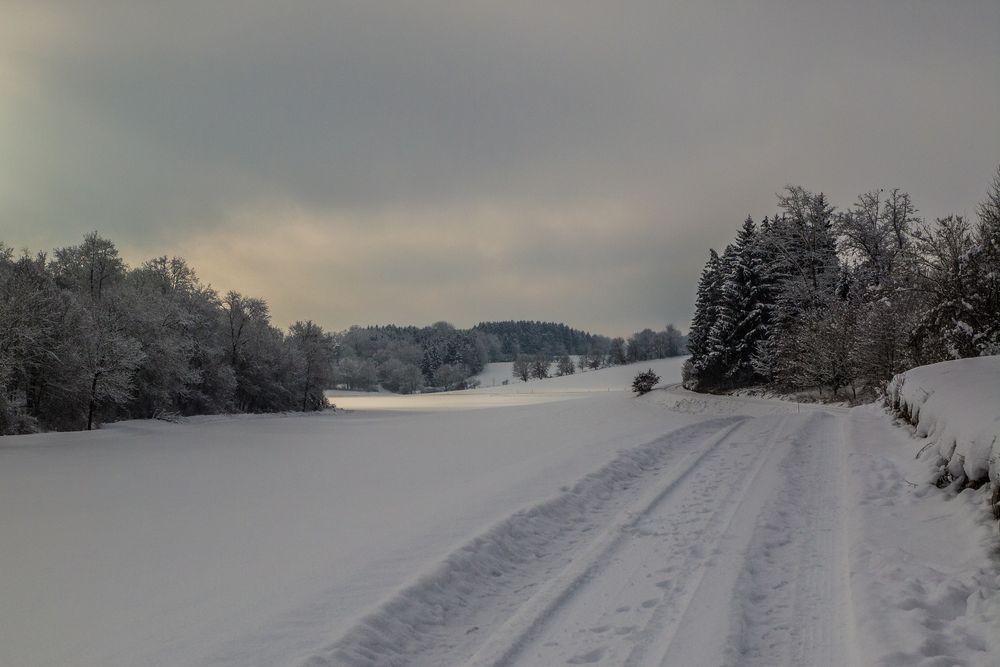 Die letzten Winterzuckungen 6