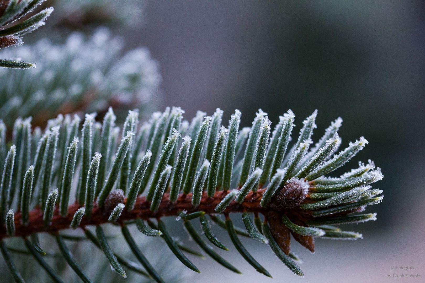 die letzten Zeichen des Winters 2