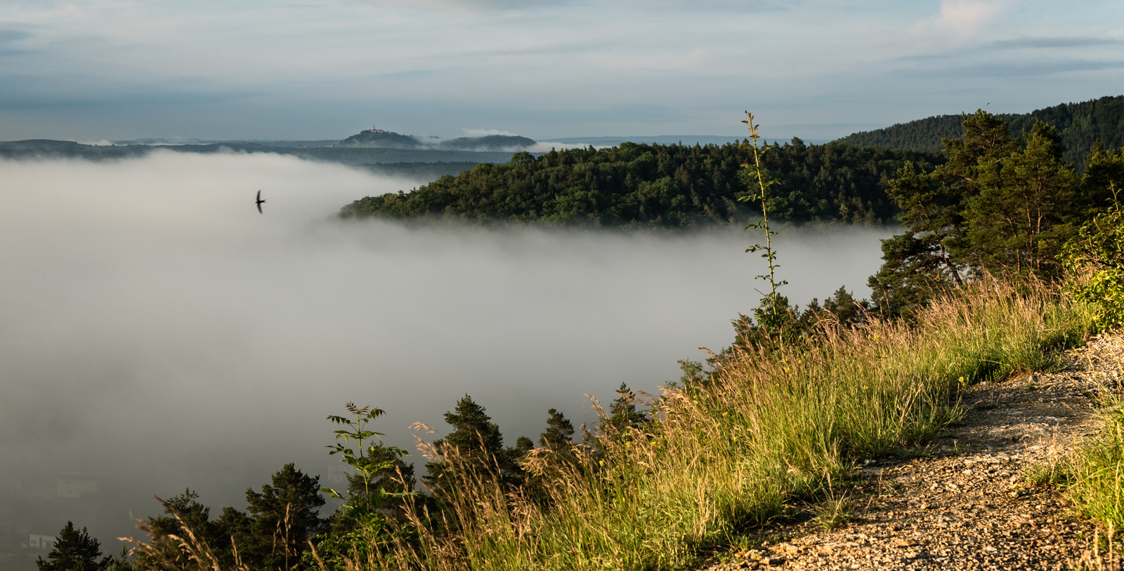 Die Leuchtenburg über dem Nebel