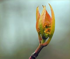 Die Leuchtkraft der Frühlingsfarben