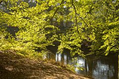 Die Leuchtkraft des Herbstes