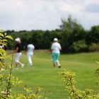 die Leute auf´m Golfplatz