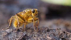 Die Leute schütteln verständnislos den Kopf