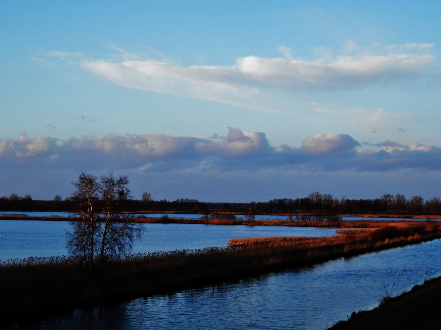 Die LEWITZ in Meck- Pomm/ 1