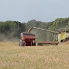 die Lexion´s zeigen dem weizen das es soweit ist.....