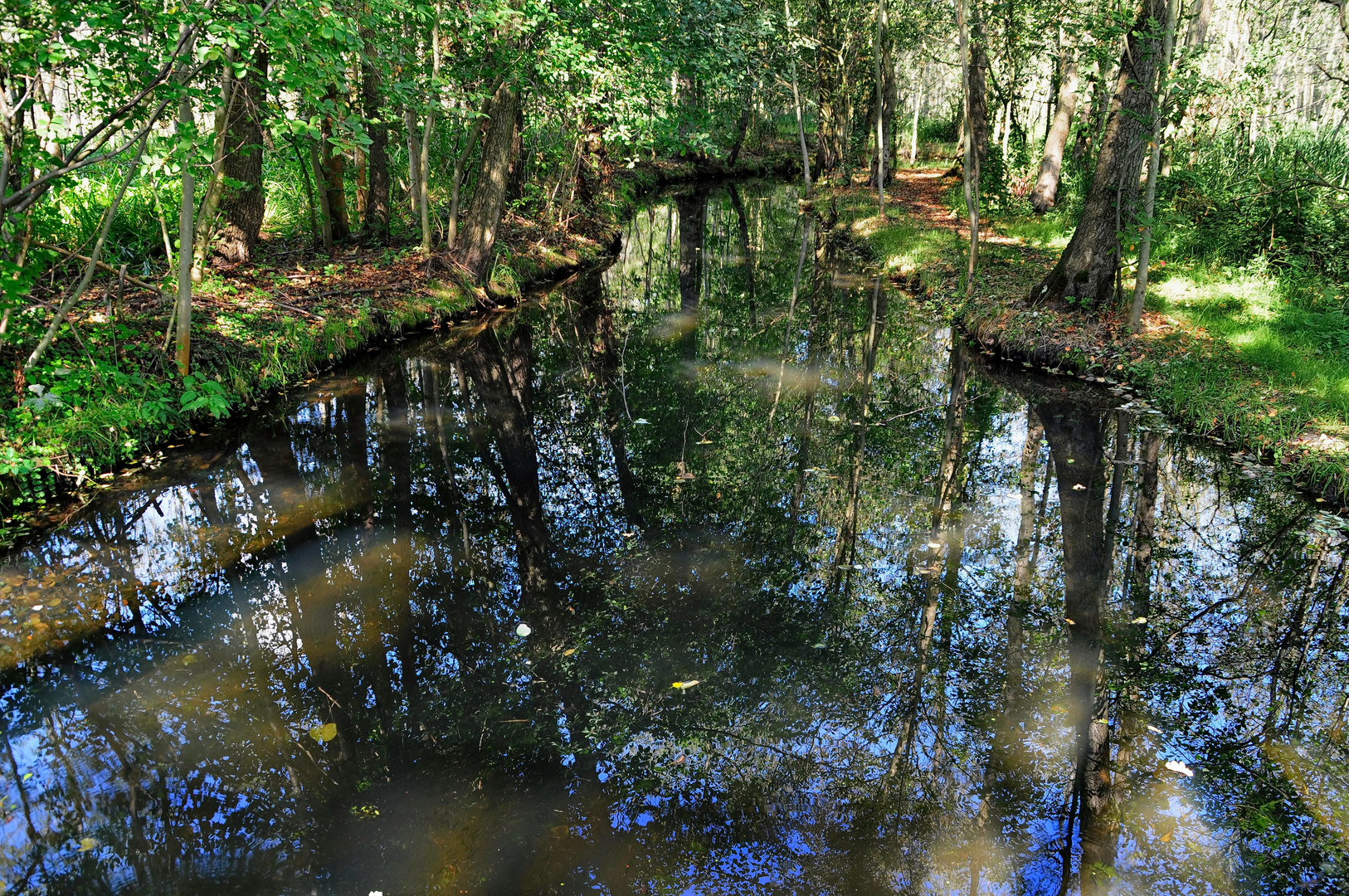 Die Lichter im Spreewald