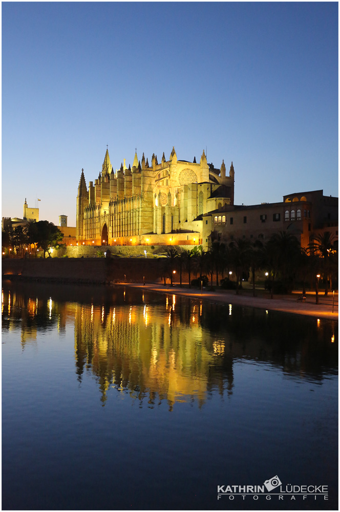 Die Lichter in der Nacht von Palma.