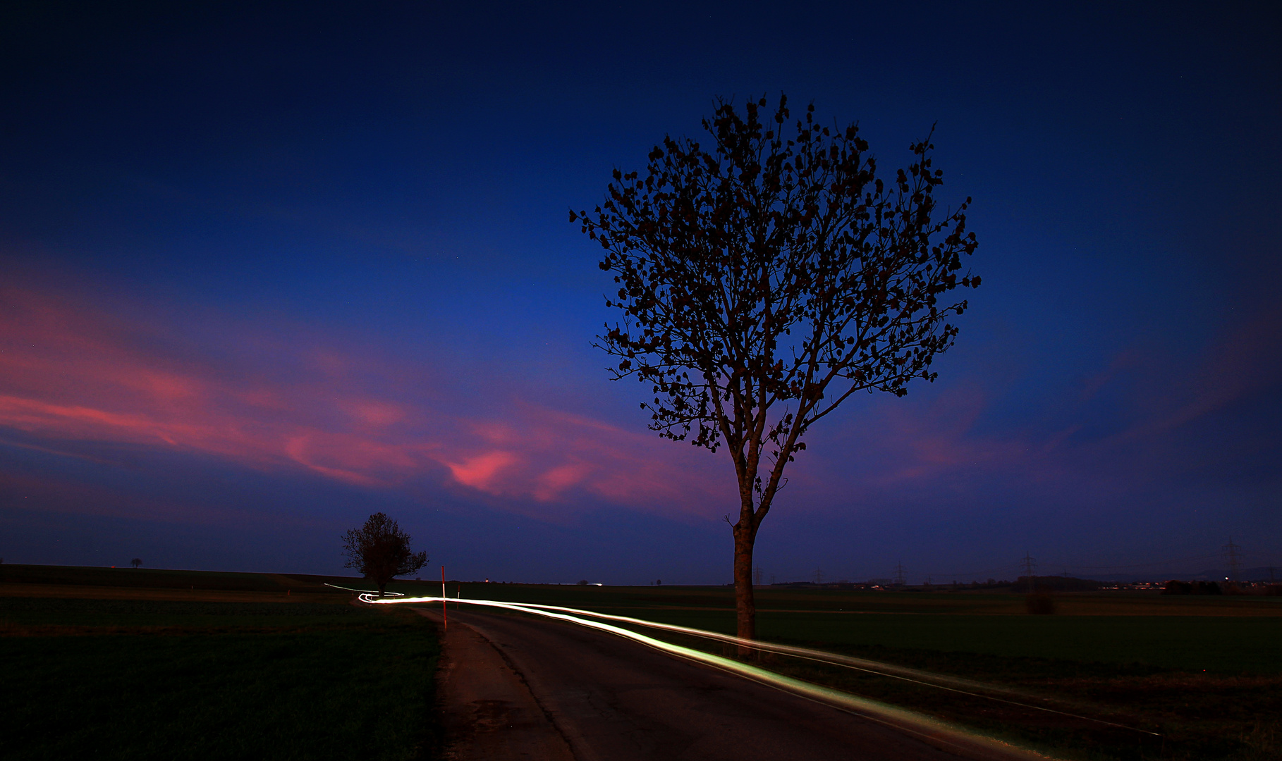 Die Lichtschlange