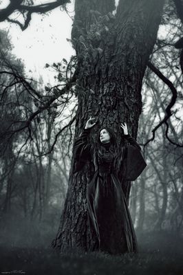 ~ die lichtung der seelenbäume ~