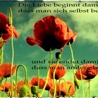 Die Liebe beginnt...