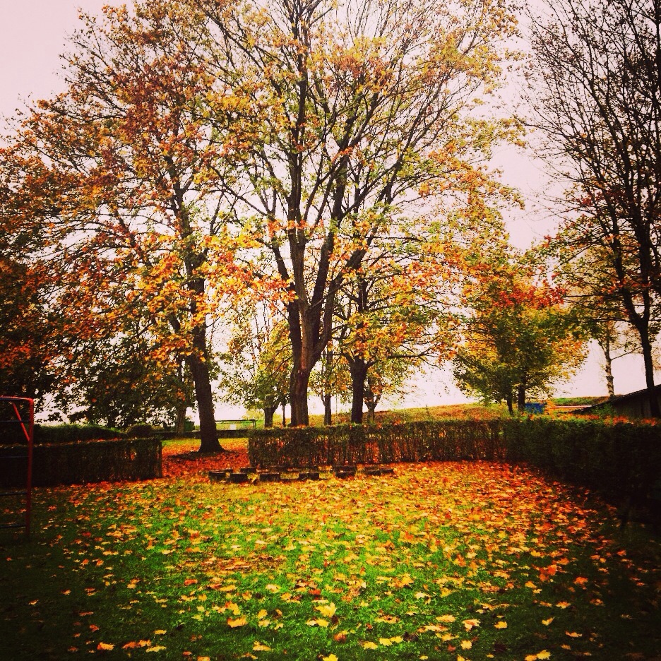 Die Liebe im Herbst