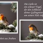 Die Liebe ist ein scheuer Vogel ...