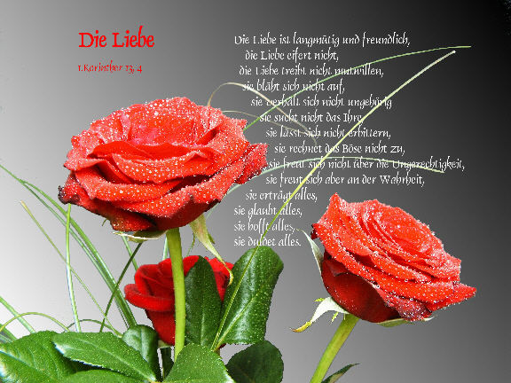 Die Liebe - wie sie Gott gemeint hat