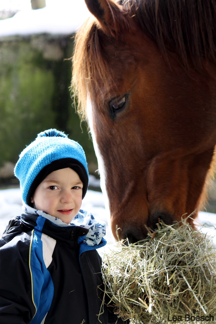 die Liebe zu den Tieren Foto & Bild tiere, haustiere, pferde, esel