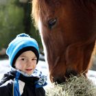 die Liebe zu den Tieren