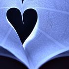 Die Liebe zum Buch