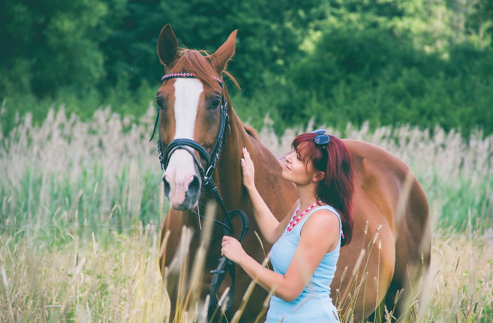 die Liebe zum Pferd