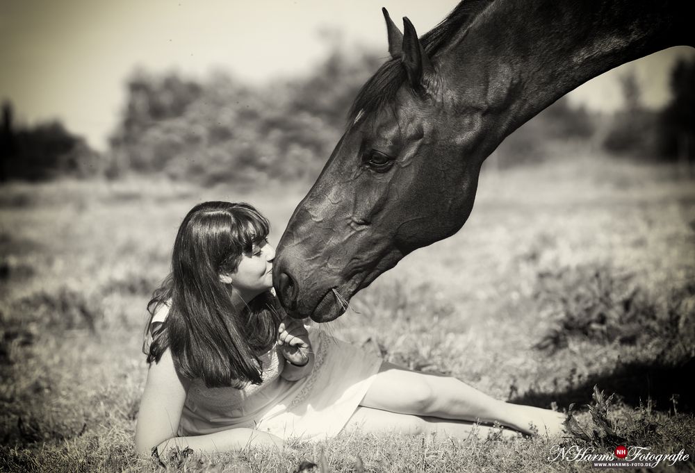 die Liebe zwischen einem Pferd und ihrem Mädchen