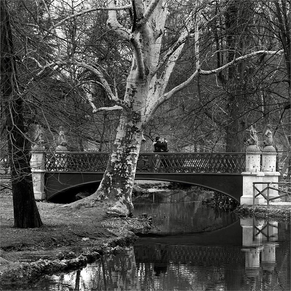 Die Liebenden der Ponte delle Sirene