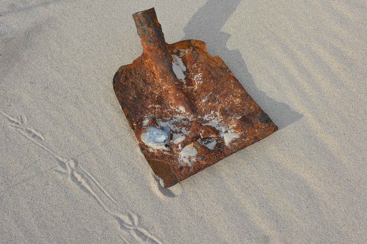 Die liegt schon länger am Strand