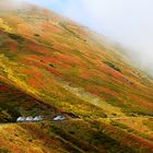 Die Ligurische Grenzkammstrasse im Herbst 2010