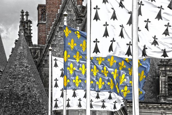 Die Lilien des Königs