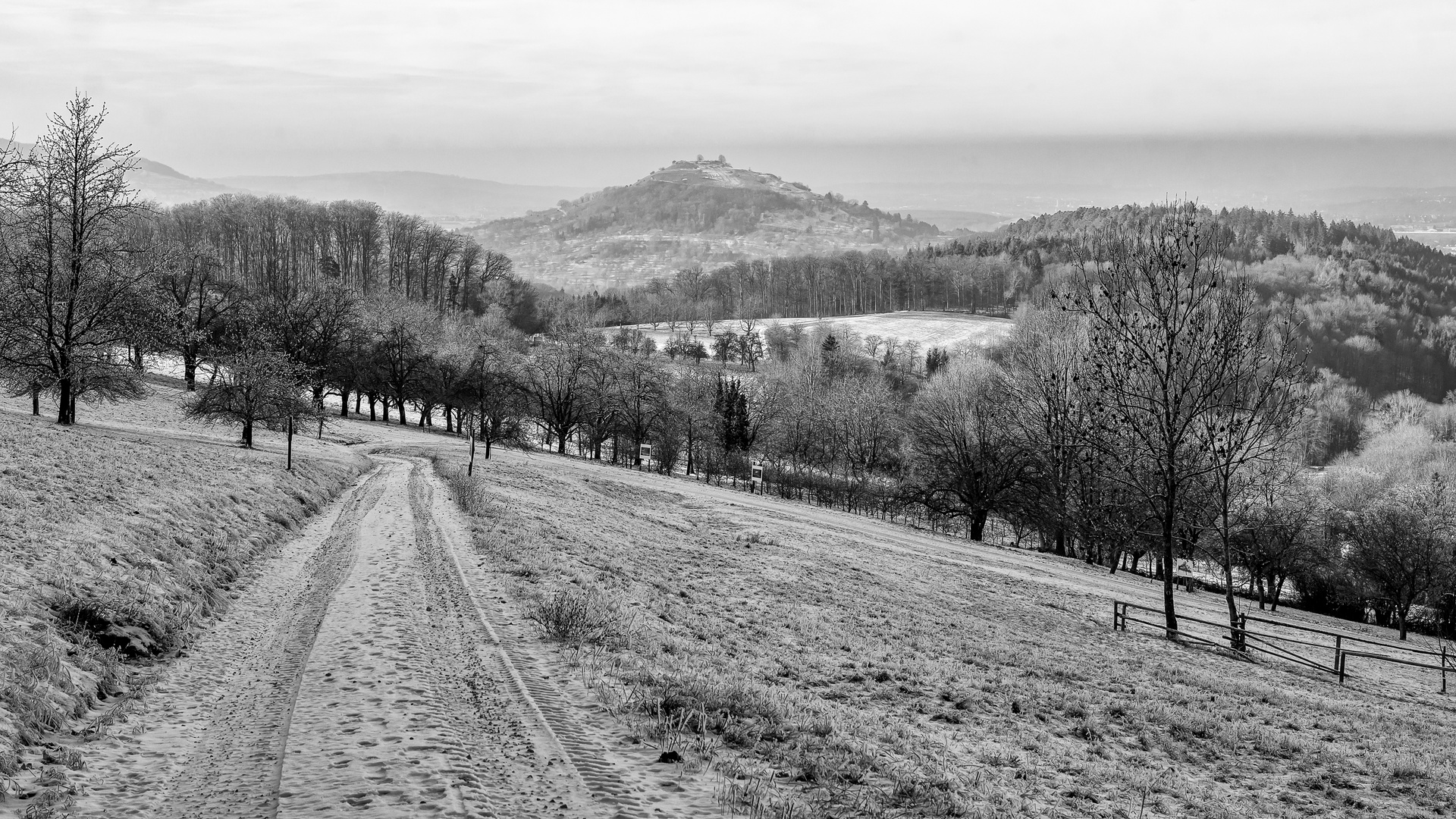 Die Limburg