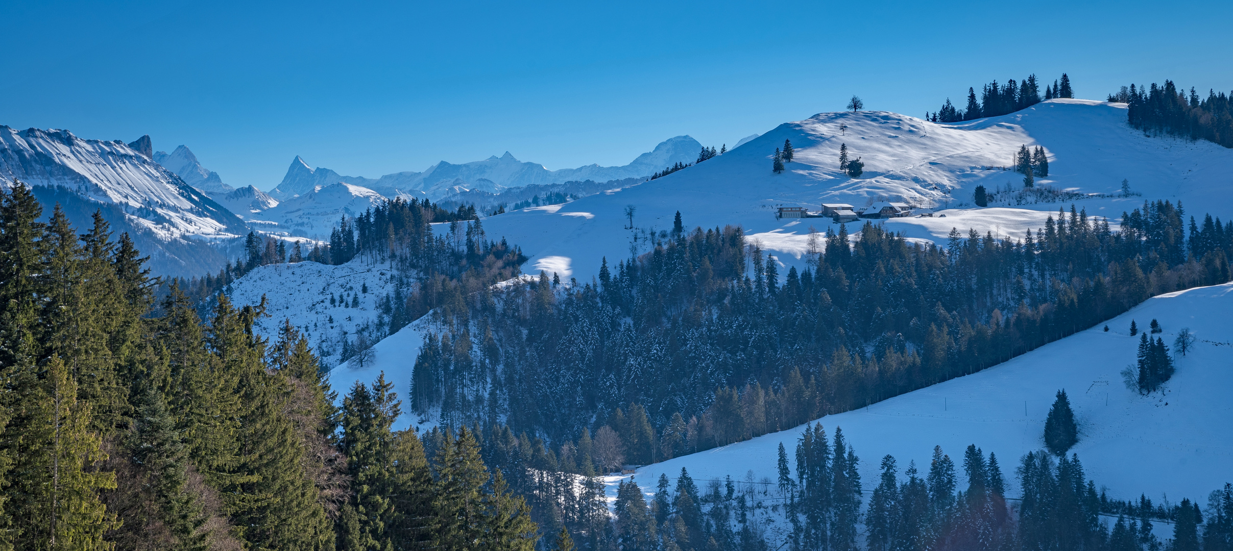 Die Linde und die Berner Alpen