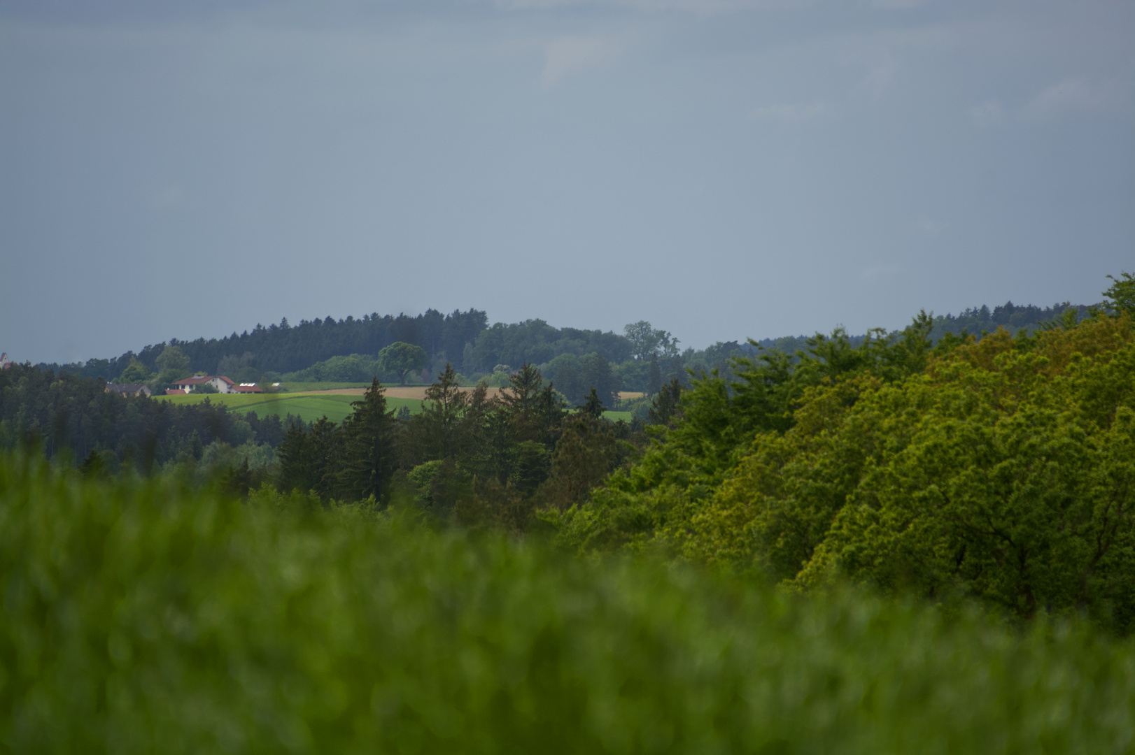 Die Linde zu Antersberg - sehr weit weg