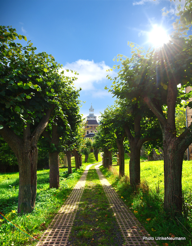 Die Lindenalle zum Schloss