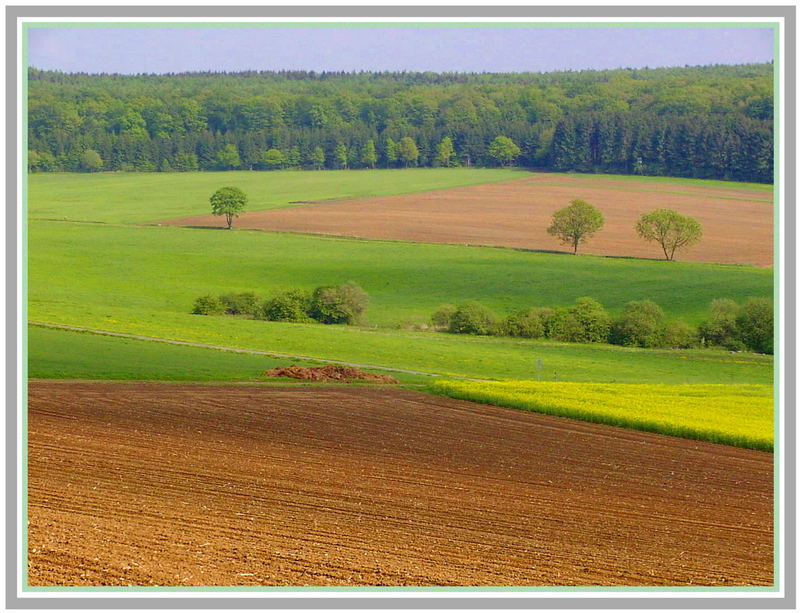 Die Linien der Natur !