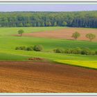 Die Linien der Natur !