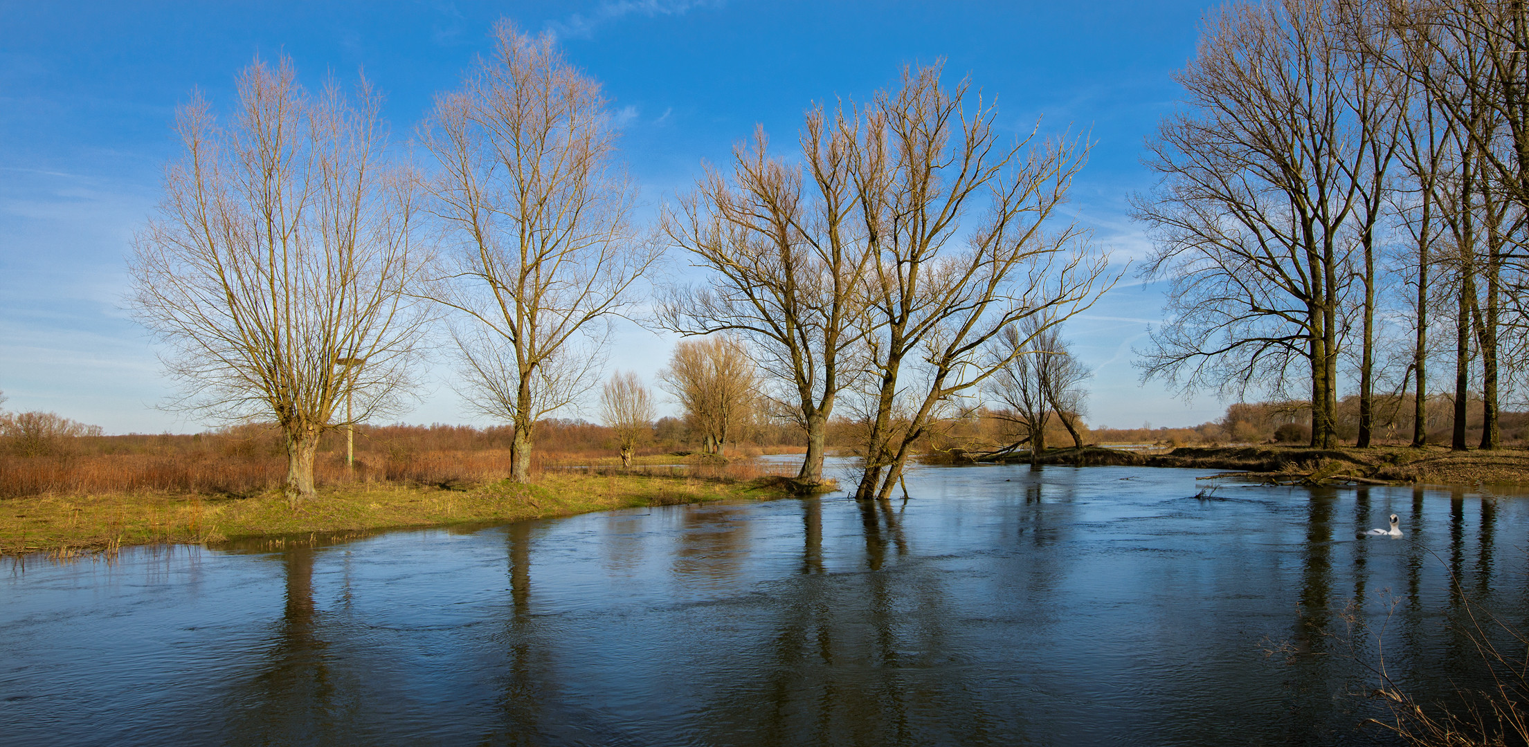 Die Lippe bei Eickelborn 016